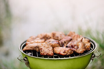 delicious grilled meat on barbecue green grill with smoke and flames in green grass