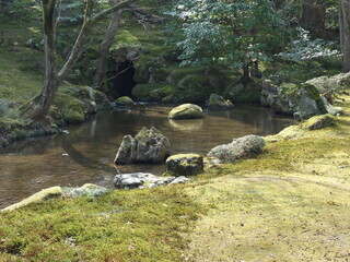 兼六園の風景