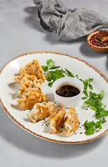 Oriental food - fried gyoza with sauce. Gyoza with pork in ceramic plate on gray concrete background.  Shrimp gyoza in minimal style. Aesthetic food menu.
