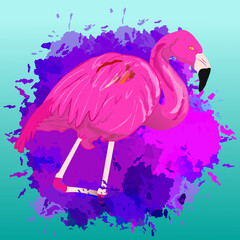 flamingo inside a biggest paint splash in aquamarine background 