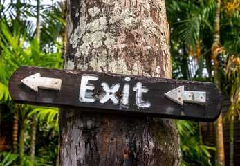 Wooden brown exit sign nailed to a tree