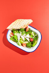 Vegetarian green salad on trendy red background with hard shadow. Green bowl with vegetables and tofu in minimal style. Contemporary food menu. Healthy food in modern concept.