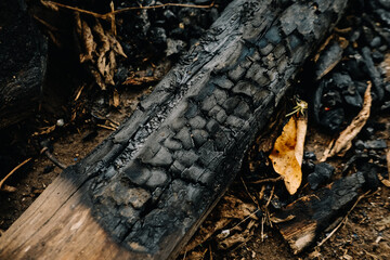 Wood charcoal used for cooking