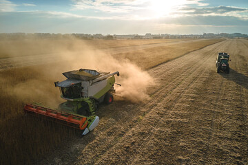 Aerial view of combine harvester and cargo trailer working during harvesting season on large ripe...