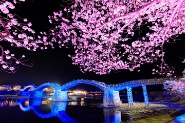 Cercles muraux Le pont Kintai ライトアップされた桜と錦帯橋　山口県岩国市　Illuminated cherry blossoms and Kintaikyo Bridge. Yamaguchi-ken Iwakuni city.
