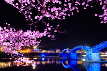 Verlichte kersenbloesems en Kintaikyo-brug Yamaguchi-ken Iwakuni-stad.