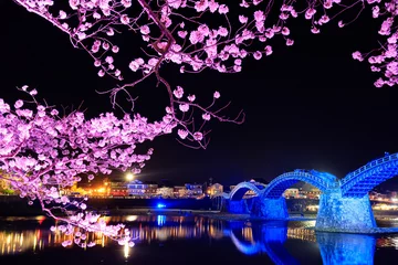 Afwasbaar Fotobehang Kintai Brug Verlichte kersenbloesems en Kintaikyo-brug Yamaguchi-ken Iwakuni-stad.