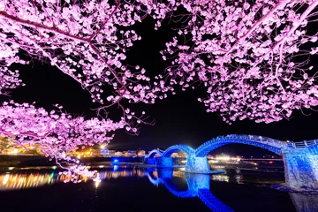 Deurstickers Kintai Brug ライトアップされた桜と錦帯橋　山口県岩国市　Illuminated cherry blossoms and Kintaikyo Bridge. Yamaguchi-ken Iwakuni city.