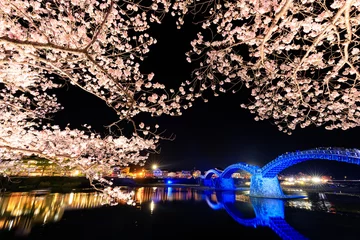 Cercles muraux Le pont Kintai ライトアップされた桜と錦帯橋　山口県岩国市　Illuminated cherry blossoms and Kintaikyo Bridge. Yamaguchi-ken Iwakuni city.