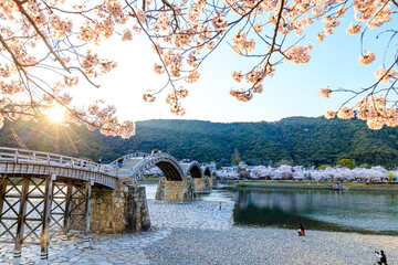 Zonsondergang, Sakura en Kintaikyo-brug Yamaguchi-ken Iwakuni-stad.