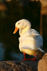 Time stop history in Mexico(Parque Santa Fe)　2022.05.02 