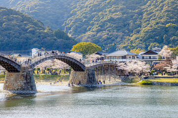 Naklejka premium 春の錦帯橋 山口県岩国市 Kintaikyo Bridge in Spring. Yamaguchi-ken Iwakuni city.