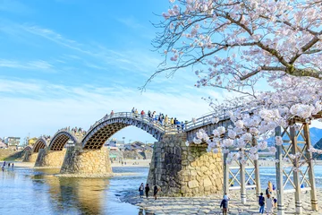Foto auf Acrylglas Kintai-Brücke Sakura- und Kintaikyo-Brücke Stadt Yamaguchi-ken Iwakuni