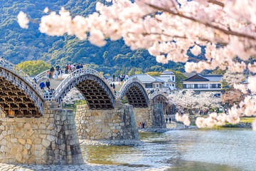桜と錦帯橋　山口県岩国市　Sakura and Kintaikyo Bridge. Yamaguchi-ken Iwakuni city.