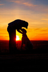 silhouette of an owner kissing their dog at sunset on a hill