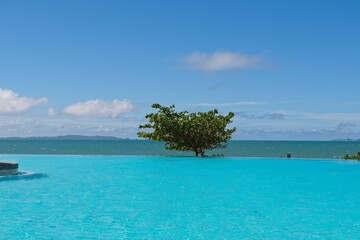 Lagoon in Yeppoon, Queensland Australia