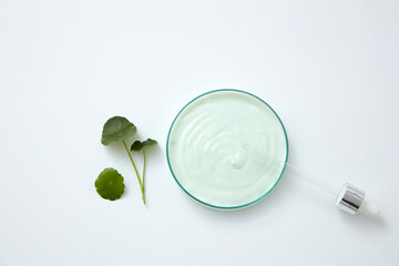 Top view of gotu kola decorated with cream and cotton pad in white background 