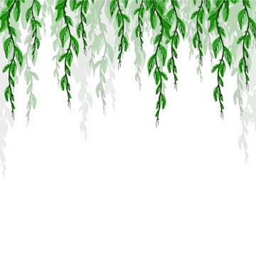 Pattern of hanging ivy leaves, on a gently white background for your design