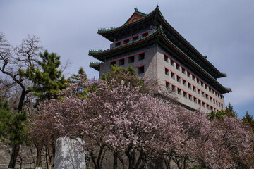 old City wall and watchtower of Ming dynasty in spring