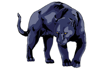 黒豹　black Panther