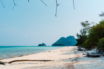 beach on a tropical island in the afternoon