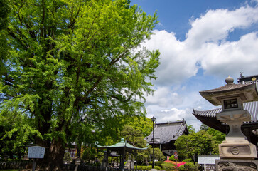 pavilion in the park