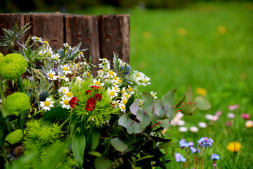 heilkräuter im garten