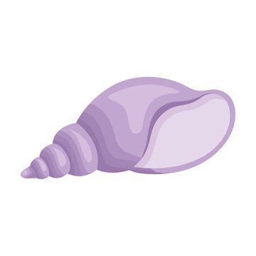 Purple Seashell Design