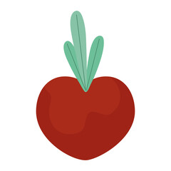 red turnip design