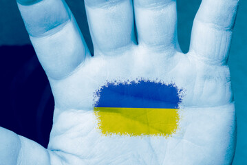Flagge der Ukraine auf einer Hand
