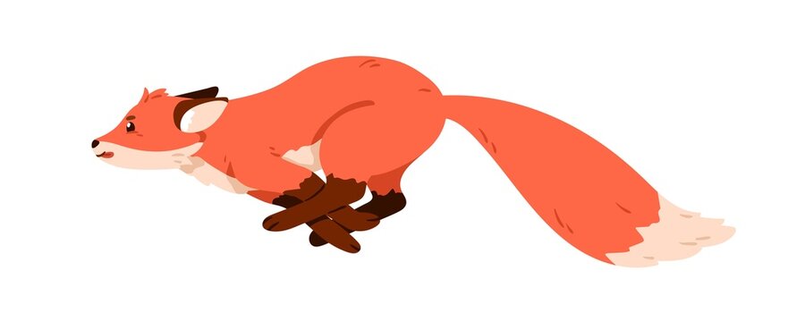 Wild forest fox running away, jumping. Profile of swift animal in movement. Fast motion of cute foxy pup with orange fluffy tail, side view. Flat vector illustration isolated on white background