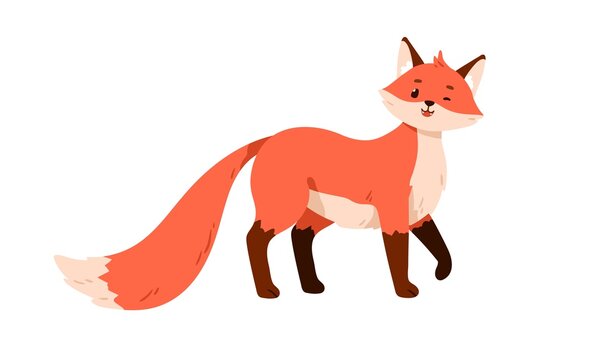Wild orange baby fox standing, looking and winking. Cute funny forest animal with furry tail. Happy smiling fluffy lovely sweet foxy pup. Flat vector illustration isolated on white background