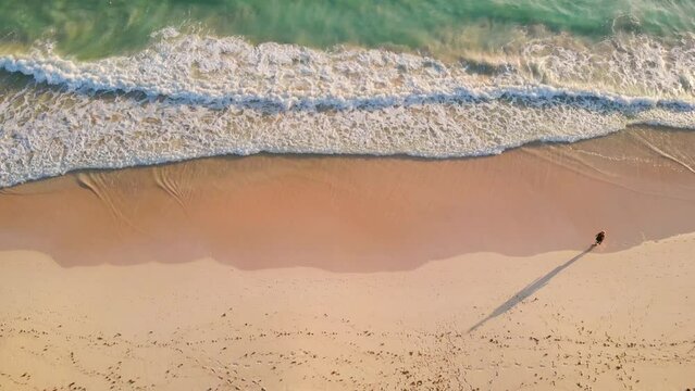 Overhead view of alone man walking by the white sandy beach along the amazing clear light blue ocean. Aerial view of a walking man on a beach, lonely on the sand with beautiful view of waves.