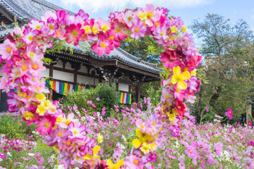 奈良のコスモス寺「般若寺」｜本堂とコスモス畑と青空