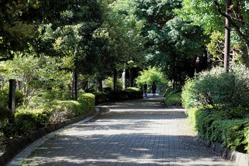 御殿山の散歩道
