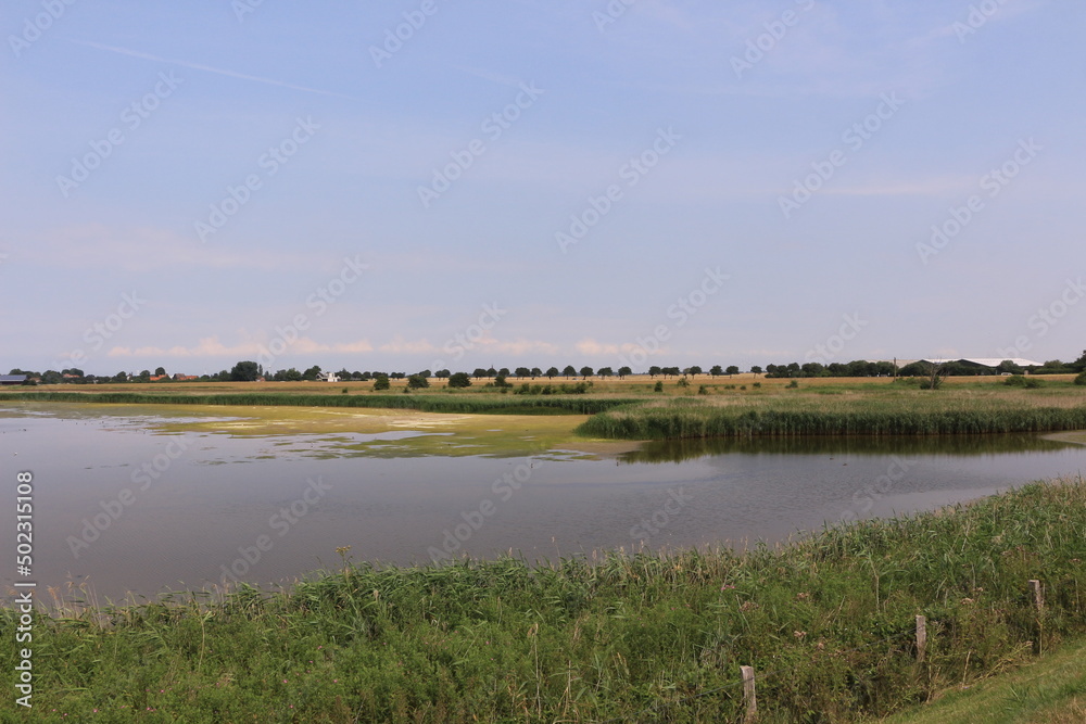 Wall mural Blick auf die Küstenlandschaft der Insel Fehmarn in der Ostsee	