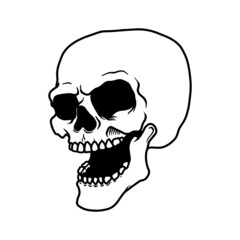Illustration of human skull in monochrome style. Design element for poster, card, banner, emblem, sign. Vector illustration