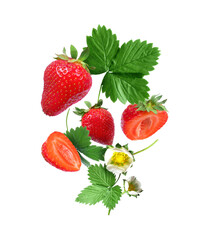 Ripe strawberry with leaves and blossoms close up