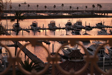 柵越しのサンセットマリーナ