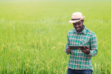 Naklejka na ściany i meble African farmer stands smiling happily at the produce from his rice farm and using tablet for research leaves of rice in organic farm field.Agriculture or cultivation concept