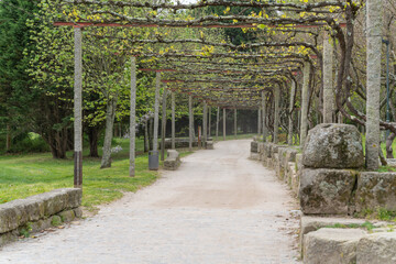 Spring time views at Parque da Cidade do Porto