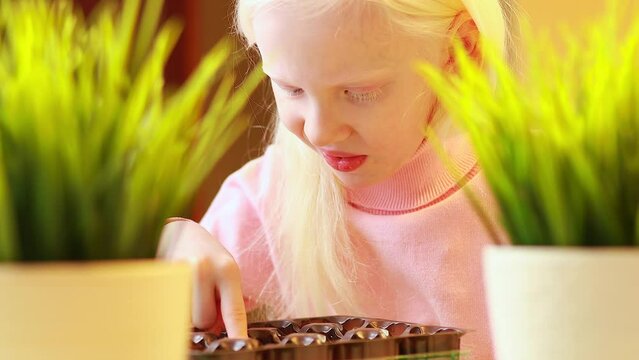 blonde albino young little farmer planting at home