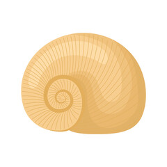 engraved seashell design