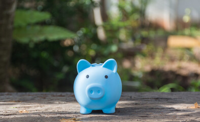 Piggy bank on wooden table,save money concept,soft focus.