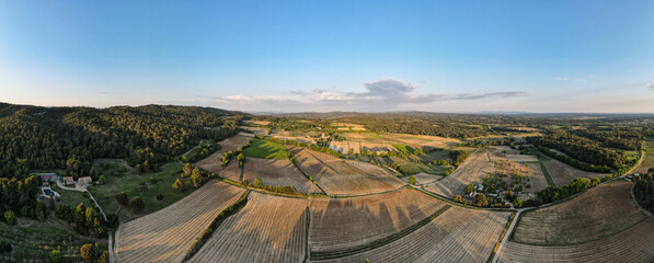 Panorama of Provençal Vines - early spring