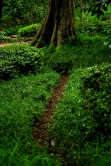 東京都南麻布5丁目の風景