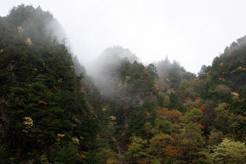Fototapeta na wymiar foggy mountains