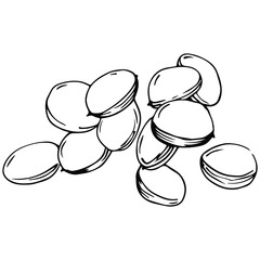 Carob sketch drawing illustration. Carob tree nature engraved style illustration. Detailed plants product. The best for design logo, menu, label, icon, stamp.