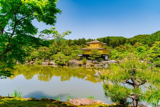 金閣寺 の画像 226 件の Stock 写真 ベクターおよびビデオ Adobe Stock