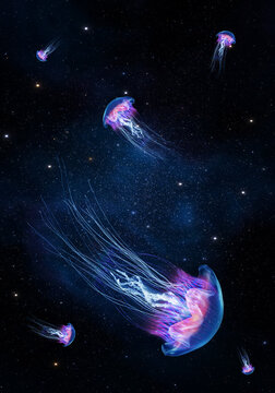 Glowing jellyfish swim deep in blue sea cosmos. Medusa neon jellyfish fantasy in space cosmos among stars and universe. 3d render